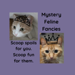 Mystery Feline Fancies