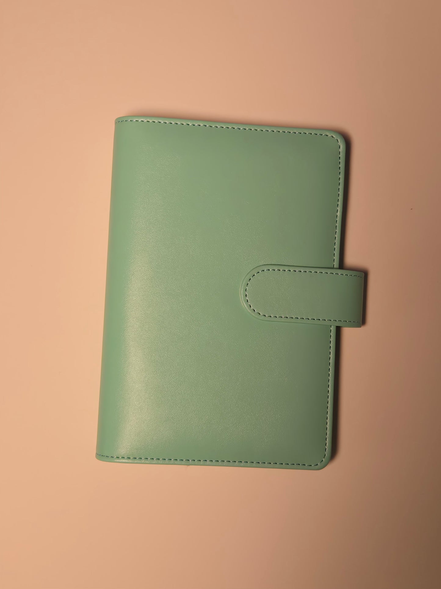 A6 Budget Binder – 15 Colors for the Daisy Savings Challenge