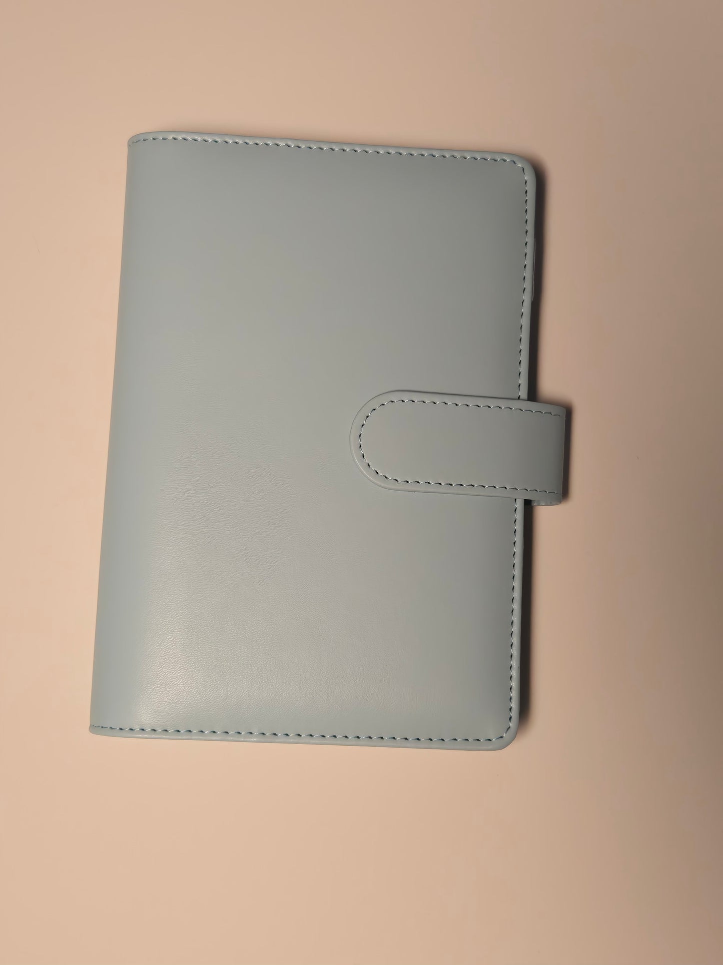 A6 Budget Binder – 15 Colors for the Daisy Savings Challenge