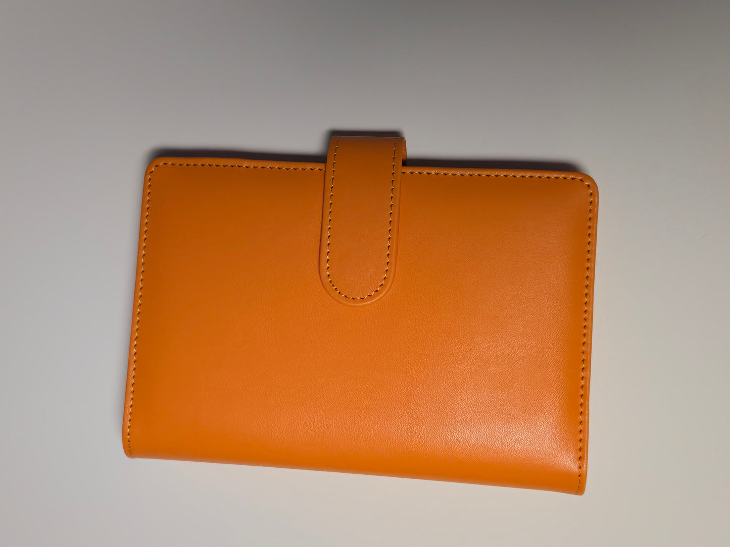 A6 Budget Binder – 15 Colors for the Daisy Savings Challenge