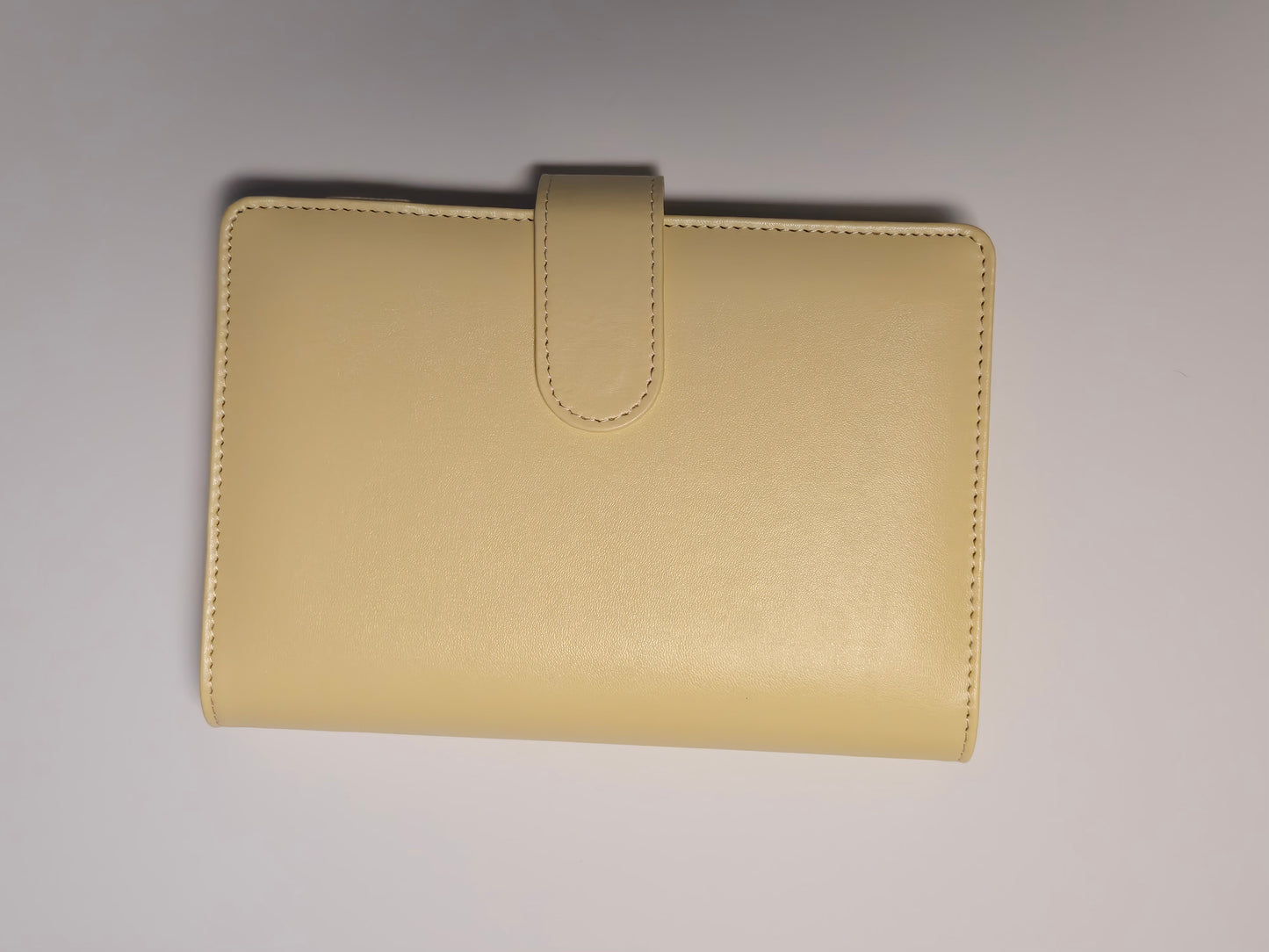 A6 Budget Binder – 15 Colors for the Daisy Savings Challenge