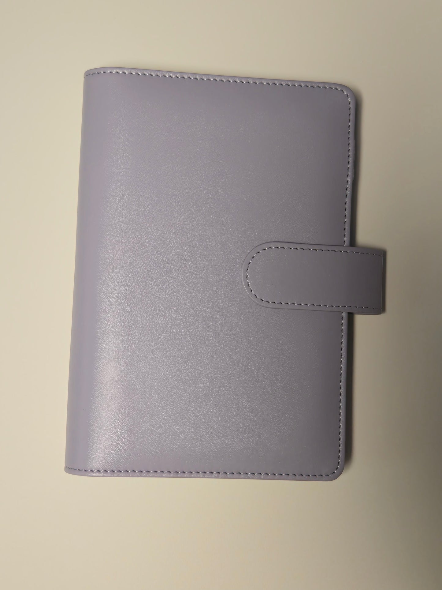A6 Budget Binder – 15 Colors for the Daisy Savings Challenge