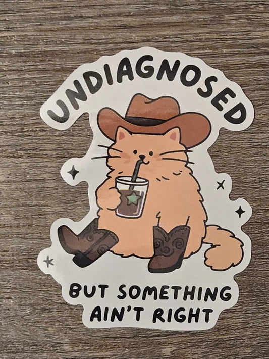 Undiagnosed - But Something Ain't Right