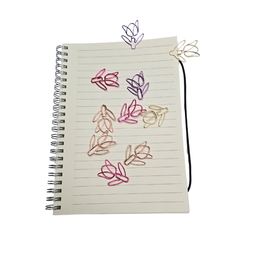 Cute & Quirky Paperclips – Fun Shaped Office & Planner Clips