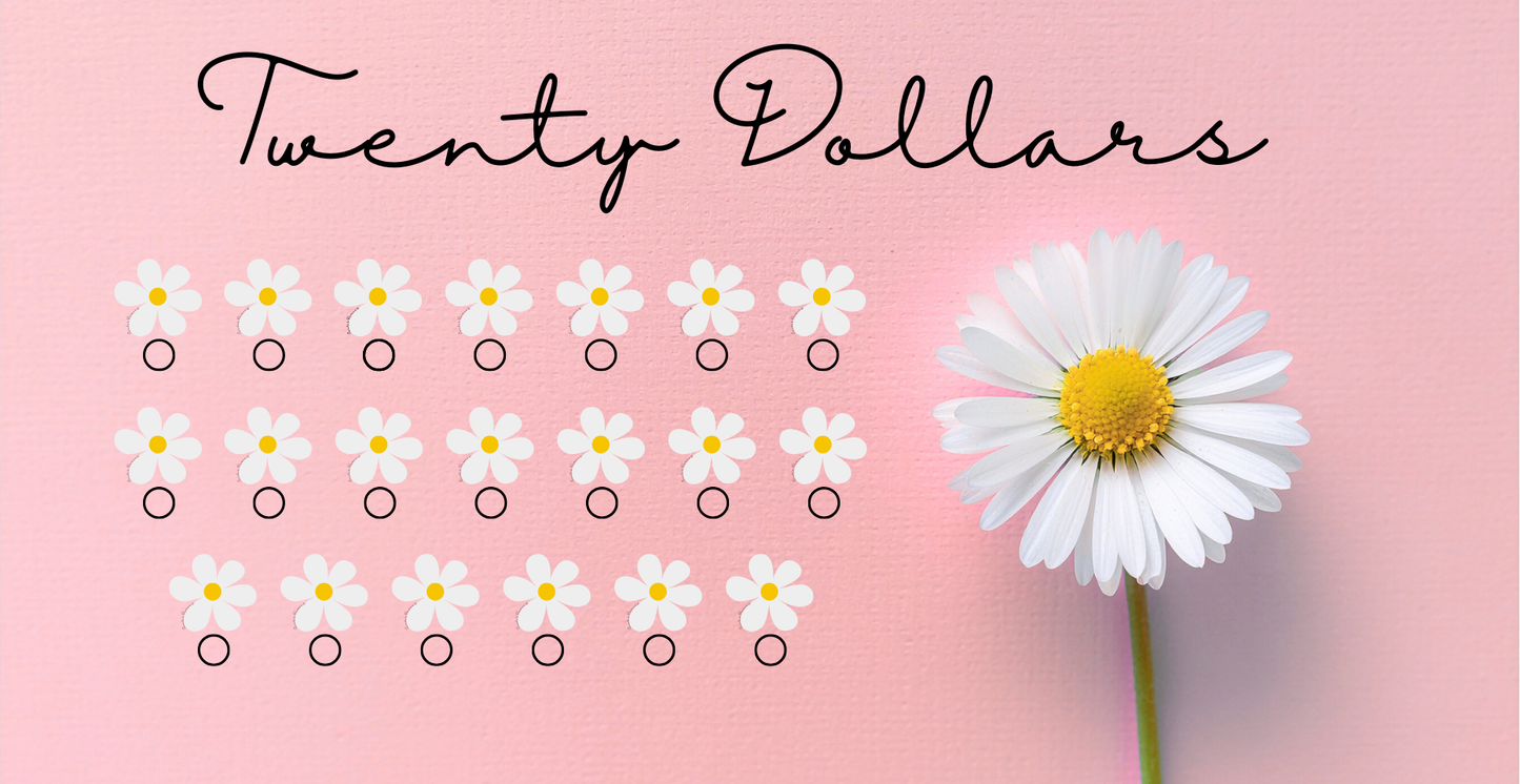 Daisy Savings Challenge