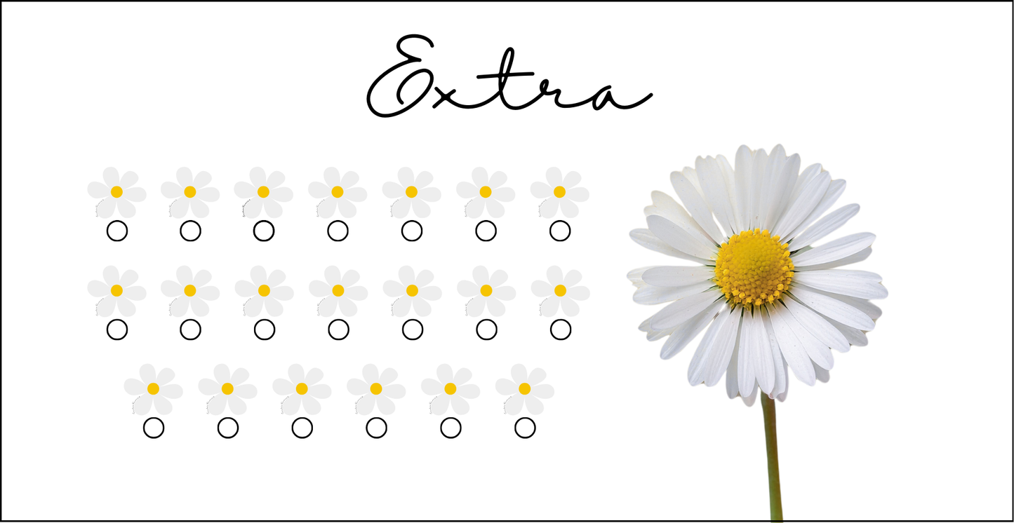 Daisy Savings Challenge