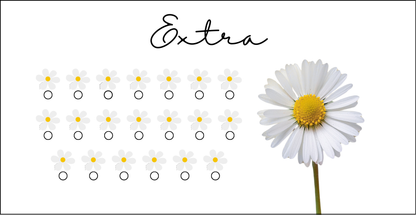 Daisy Savings Challenge