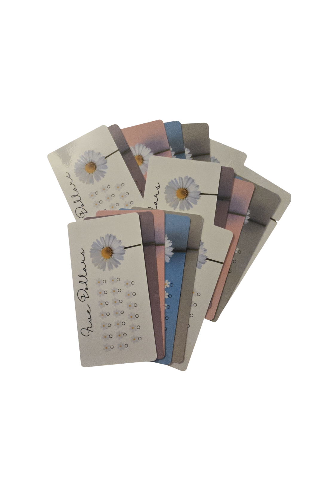 Daisy Savings Challenge