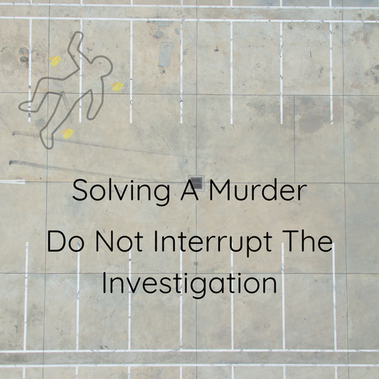 Solving a Murder, Do Not Interrupt the Investigation E-Reader Sign