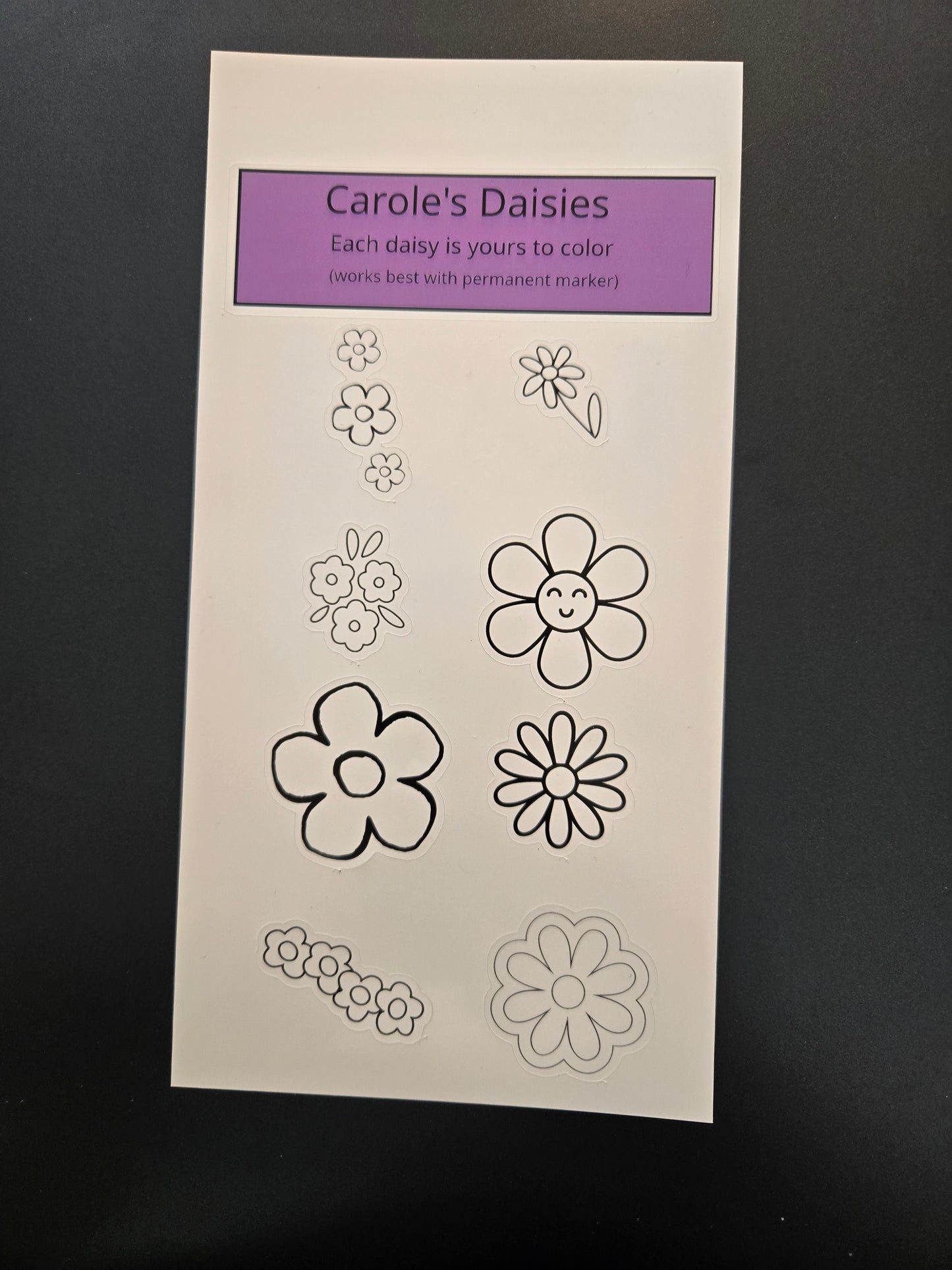 Carole’s Daisies Color‑In Sticker Sheet – 8 Glossy Waterproof Stickers (Use Permanent Markers)